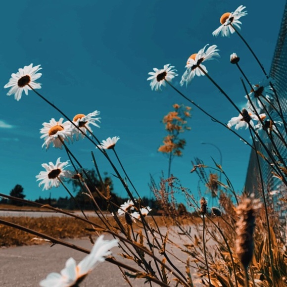 Meet your Posher, Rushali - Picture 1 of 1